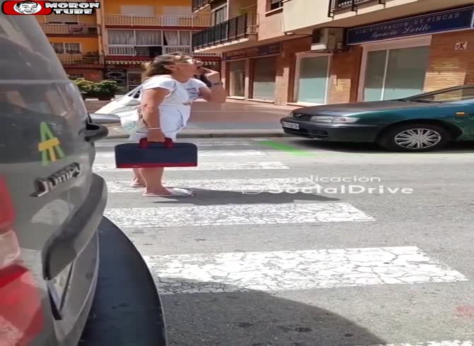 Video :She stays on pedestrian crossings to annoy motorists!